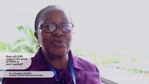 Interview with Dr. H. Manthoto Lephoto, National University of Lesotho 